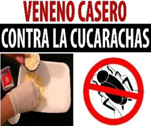 veneno casero contra la cucaracha - Veneno para cucarachas