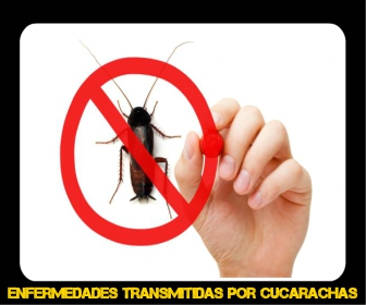 enfermedades transmitidas por cucarachas pdf - Veneno para Cucarachas